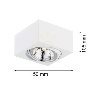Argon RODOS 263 plafond vit kvadratisk riktbar 1xG9 6W small 2