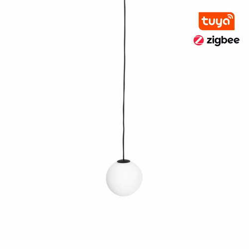 Kontrollera Pendant Light Max Light MAX M0017Z Zigbee Black 12 cm LED 2700-5000K