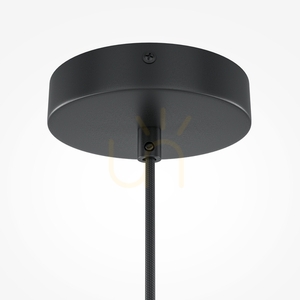 ROOTS taklampa MOD192PL-01W1 Maytoni small 4