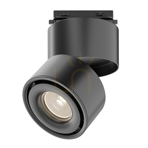 YIN skenlampa TR084-1-15W3K-D-B Maytoni small 1