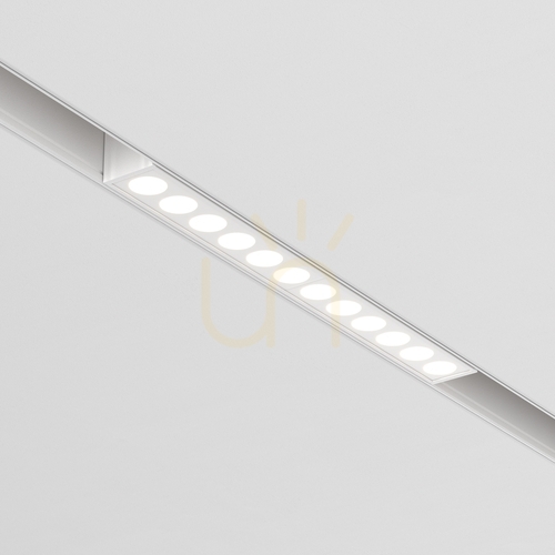 Kontrollera POINTS skenlampa TR031-2-12W3K-W Maytoni