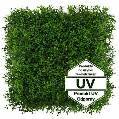 Kontrollera Konstgjord grön Buxus UV-matta 50x50cm