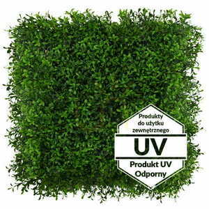 Konstgjord grön Buxus UV-matta 50x50cm small 0