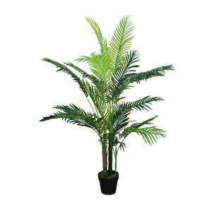 Chamedora palm dekorativ växt 150 cm small 0