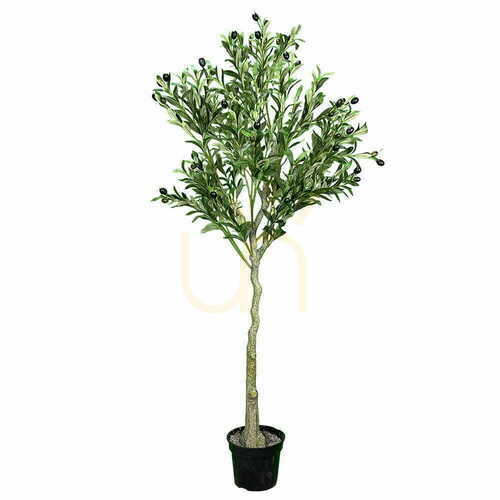 Kontrollera Green Designers Oliwka konstgjort olivträd 150 cm GD4324
