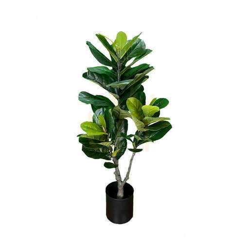 Kontrollera Konstgjord Ficus-växt 150cm