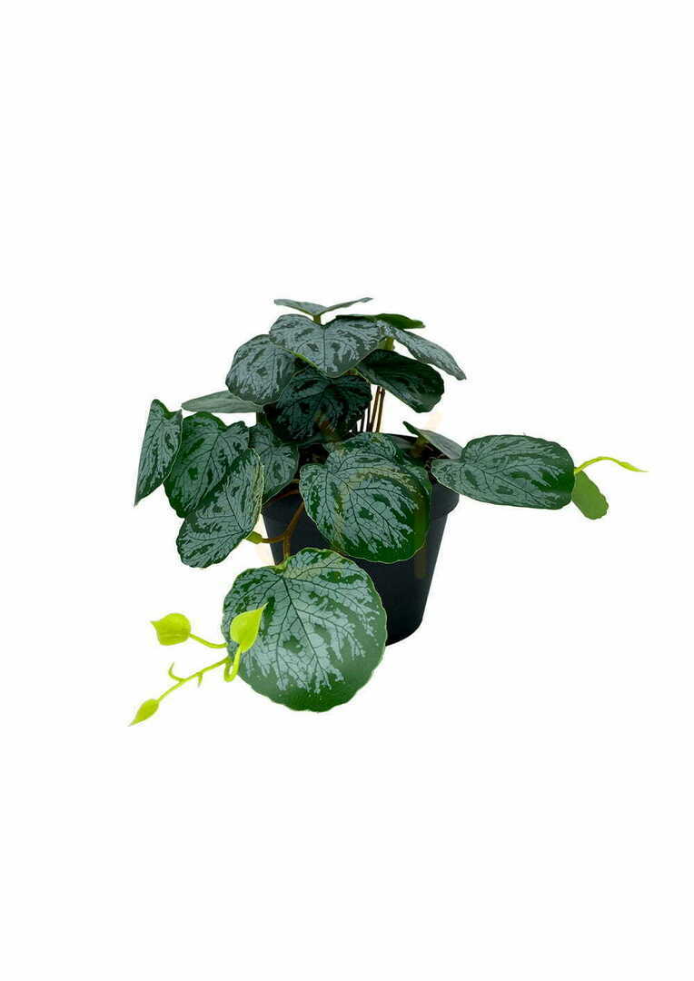 Artificial Pilea Plant 20 cm
