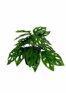 Konstgjord Monstera Monkey Plant 25 cm 3 Konstgjord Monstera Monkey Plant 25 cm small 3