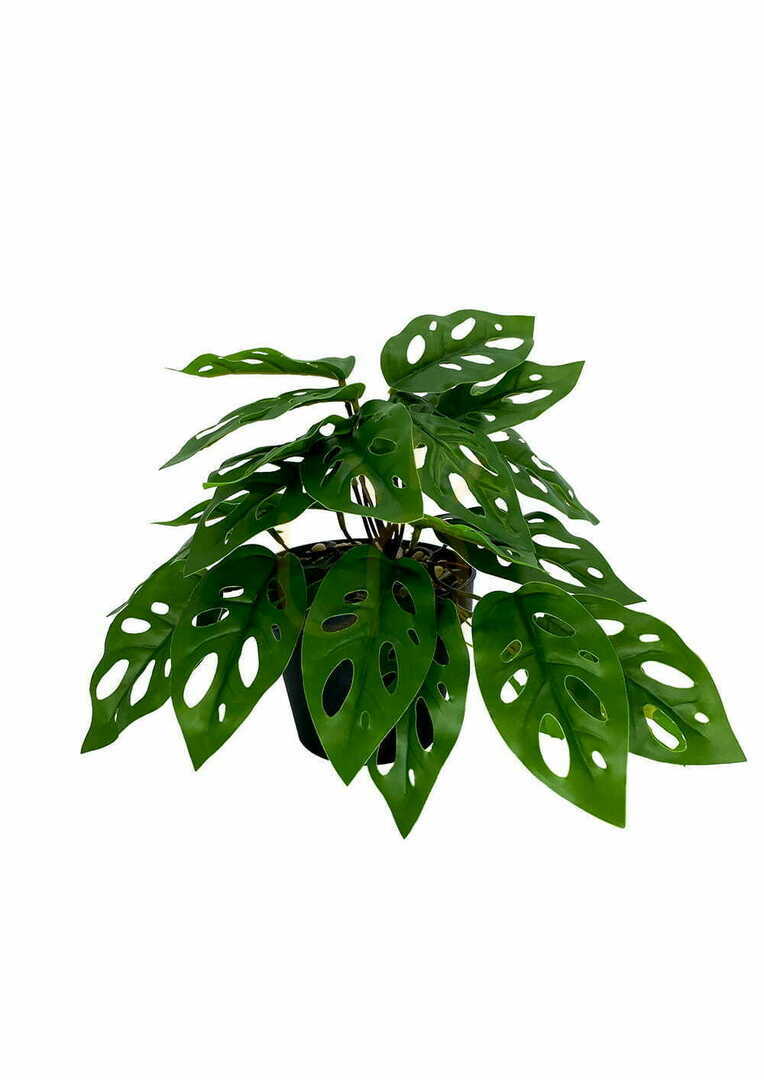Display Konstgjord Monstera Monkey Plant 25 cm Konstgjord Monstera Monkey Plant 25 cm