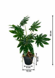 Konstgjord Aralia-växt 55 cm small 1