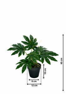 Konstgjord Aralia-växt 45 cm 1 Konstgjord Aralia-växt 45 cm small 1