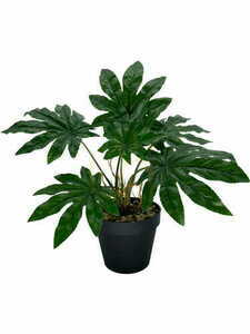 Konstgjord Aralia-växt 45 cm 2 Konstgjord Aralia-växt 45 cm small 2