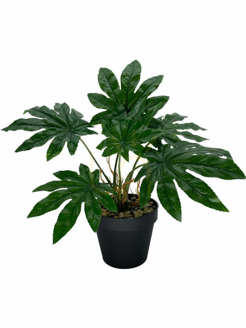 Förhandsvisning Konstgjord Aralia-växt 45 cm Konstgjord Aralia-växt 45 cm