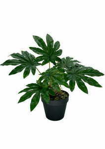 Konstgjord Aralia-växt 45 cm 0 Konstgjord Aralia-växt 45 cm small 0