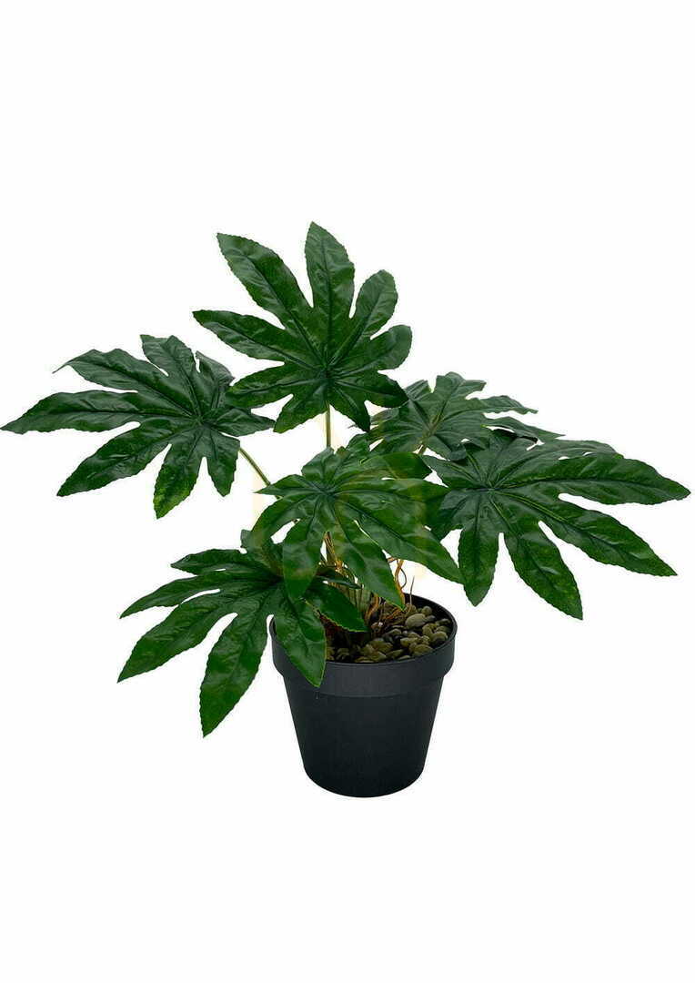 Kontrollera Konstgjord Aralia-växt 45 cm Konstgjord Aralia-växt 45 cm