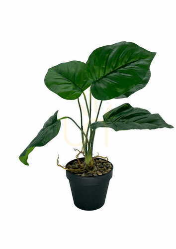 Kontrollera Konstgjord Maranta-växt 36 cm