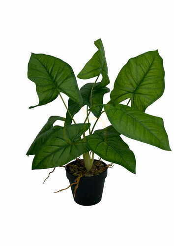 Kontrollera Konstgjord Syngonium-växt 56 cm
