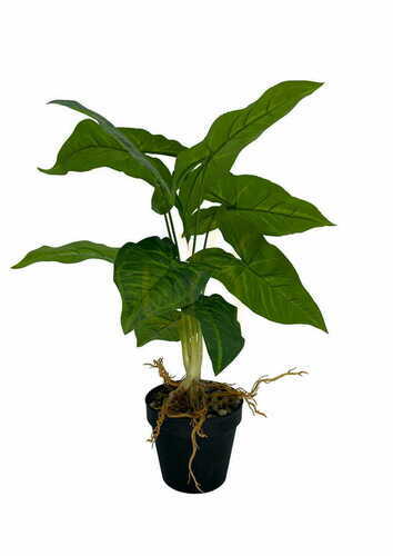 Kontrollera Konstgjord Syngonium-växt 50 cm