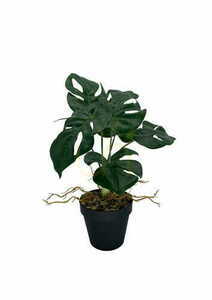 Konstgjord Monstera växt 39 cm 2 Konstgjord Monstera växt 39 cm small 2