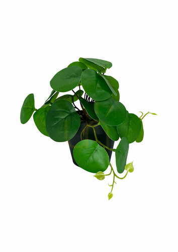 Kontrollera Konstgjord Pilea-växt 20 cm