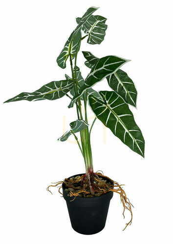 Kontrollera Konstgjord växt Alokazia Amazonica 58 cm.