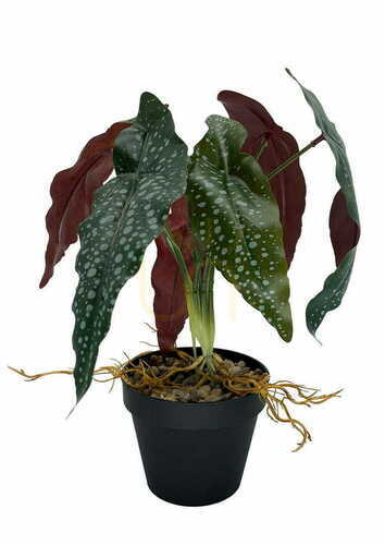 Kontrollera Konstgjord Begonia Rosie Växt 35 cm