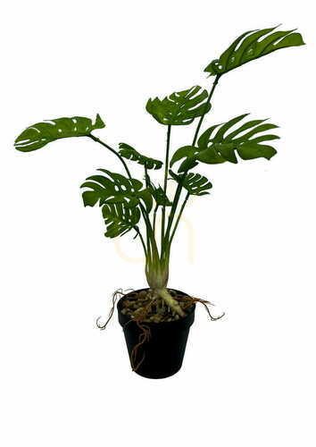 Kontrollera Konstgjord Monstera-växt 53 cm