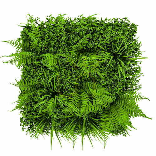 Kontrollera Grön vägg Fern 50x50cm
