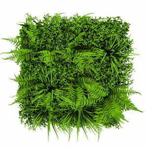 Grön vägg Fern 50x50cm 0 Grön vägg Fern 50x50cm small 0