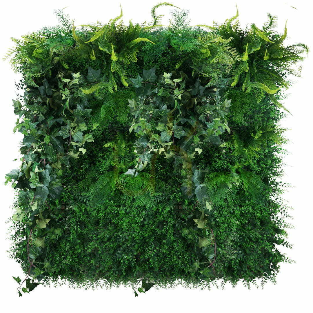 Utsikt Mossy Dark Vertikal trädgård Mossy Dark Vertikal trädgård