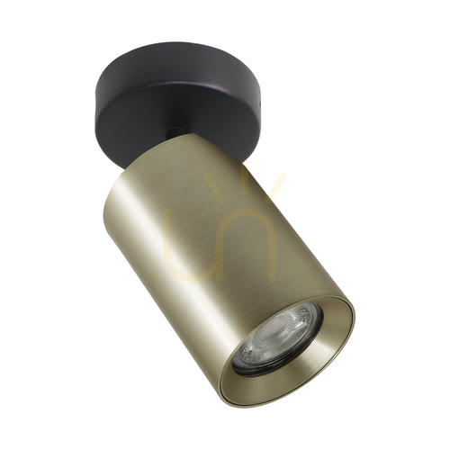 Kontrollera Plafond TORE TLS006-GLD GU10