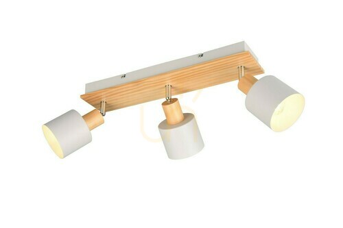 Kontrollera Trio SHANTI Plafond