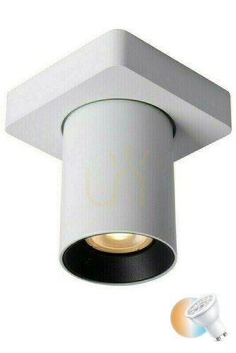 Kontrollera Downlight Lucide Nigel vit LED GU10 dimbar 5W CCT 09929/05/31