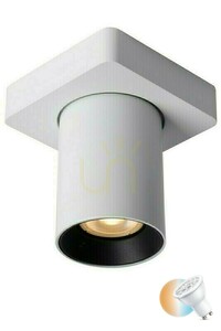 Downlight Lucide Nigel vit LED GU10 dimbar 5W CCT 09929/05/31 small 0