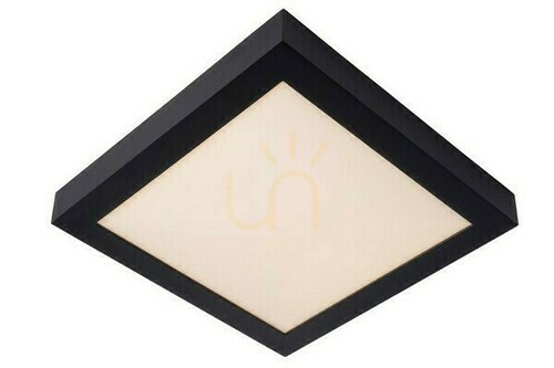 Kontrollera Plafond Lucide BRICE-LED svart 30 cm IP44 LED 30W 28117/30/30