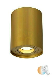 Utanpåliggande takspot Lucide TUBE mattguld GU10 Ø 9,6 cm 22952/01/02 small 0