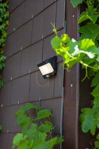 Vägglampa utomhus Lutec Try svart LED med rörelsesensor 6939101330 small 3