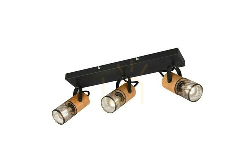 Kontrollera Trio TOSH Plafond 804300332