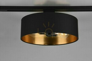 Trio DUOLINE Track Lighting 76820280 small 3