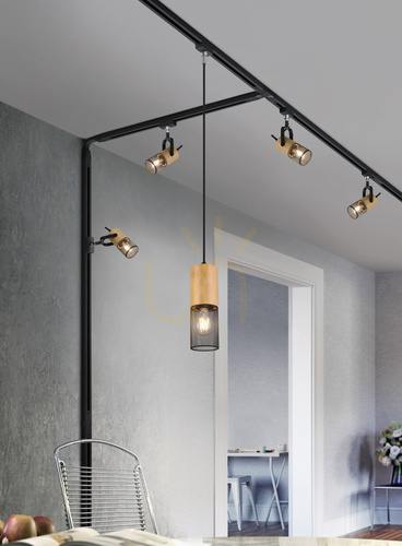 Kontrollera Trio DUOLINE 73430132 pendellampa för skena, mattsvart och trä, 1×E27