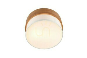 Trio SEASONS Plafond 611500201 small 1