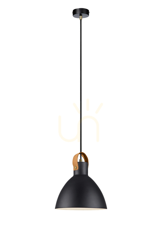 Kontrollera Pendant Light Markslojd EAGLE Black Metal 22 cm 106552
