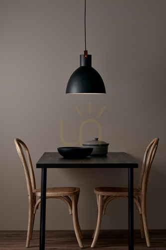 Kontrollera Pendantlampa Markslöjd Eagle 35 cm svart metall 106550