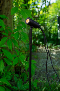 Bordslampa Markslöjd Unite 12 Spot 60 cm svart 108641 small 1