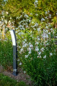 Outdoor pollare Lutec Kira LED antracit 74 cm 7288906118 small 3
