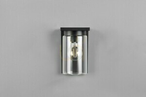 Trio vägglampa för utomhusbruk ARDILA - TWILIGHT SENSOR 211660132 small 5