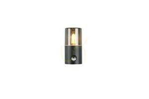 Trio HOOSIC vägglampa för utomhusbruk - MOVEMENT SENSOR 222260132 small 2