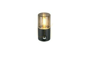 Trio HOOSIC vägglampa för utomhusbruk - MOVEMENT SENSOR 222260132 small 4