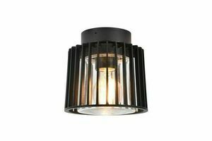 Takplafond utomhus Lutec SHYNE svart Ø16,1 cm aluminium glas 6397501012 small 0