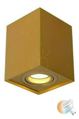 Kontrollera Downlight Lucide TUBE Guld GU10 LED Dimbar 9,6 cm 22953/01/02